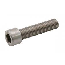 Inbusbout M5x25 RVS per 25