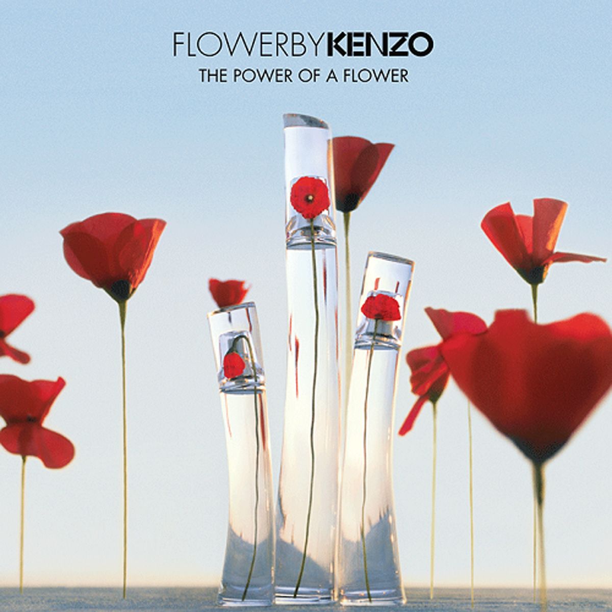 Kenzo bloem eau de parfum spray 50ml dames