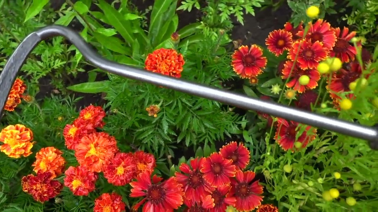 De wit producten cultivator 1 tands essen steel 140cm stardewitstar