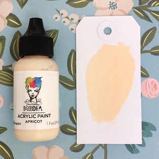 Ranger ink ranger • dina wakley media heavy body acrylic paint apricot
