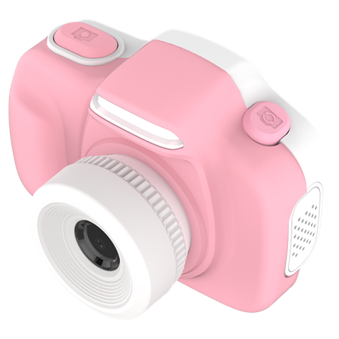 Mijn eerste camera 3 rozen