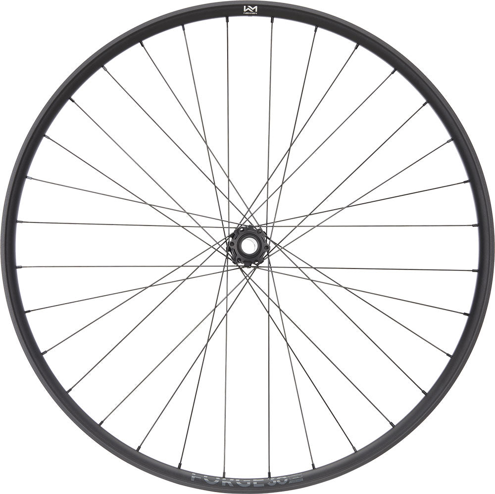 Newmen forge 30 strong enduro 29 6-bolt 15 20x110 fade front wheel