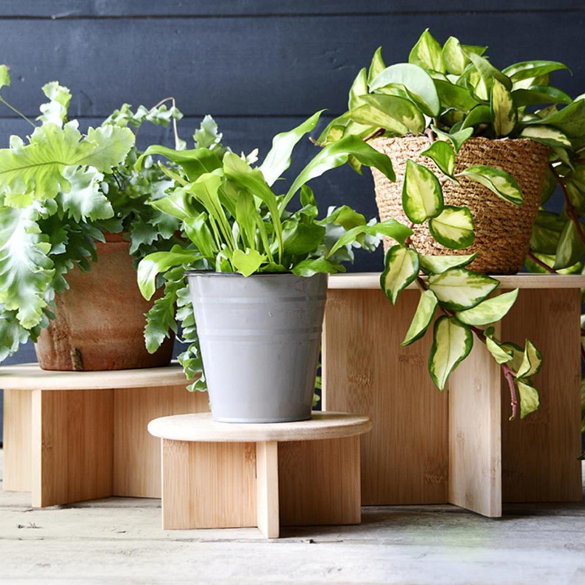 Esschert design plantentafeltje bamboe m