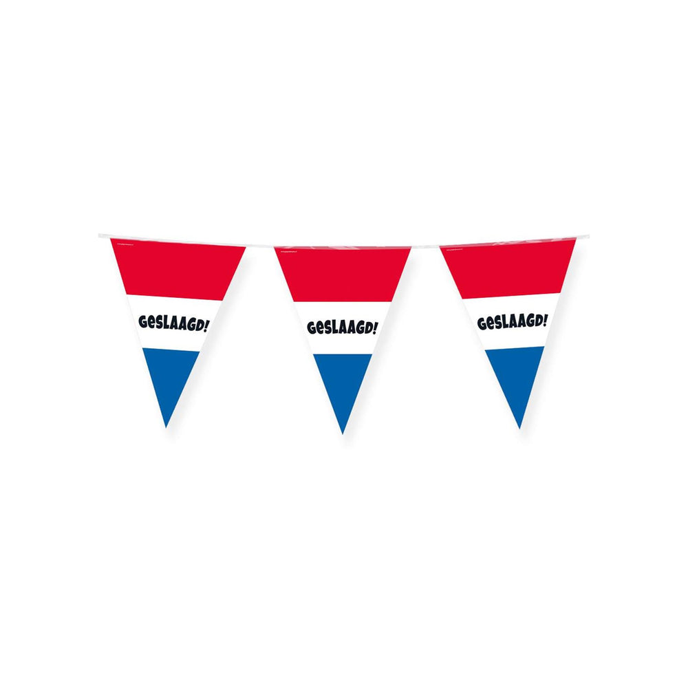 Paperdreams party flags geslaagd rood wit blauw