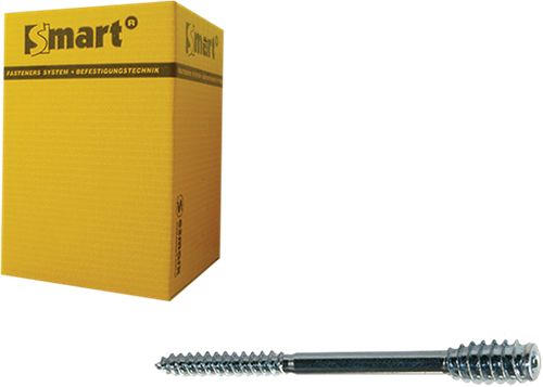 Pgb-europe smart | afstandschroef t-drive t25 ø 6x300 zn | 25 st sm0ssc0010603003