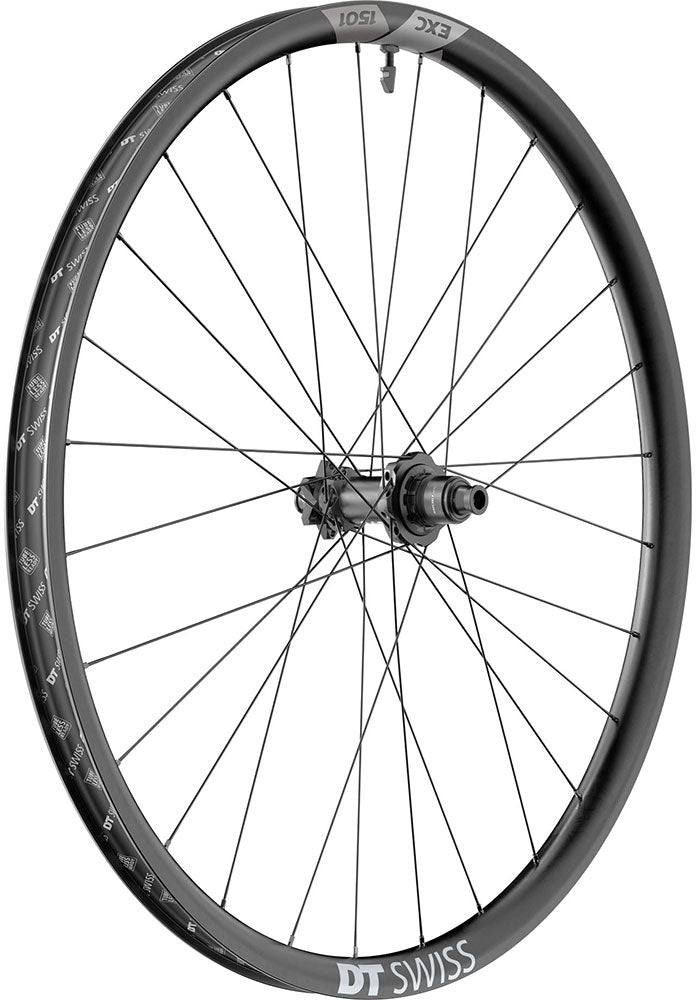 Dt swiss exc 1501 spline® one 30 carbon 6-bolt deg 90 boost 29 rear wheel