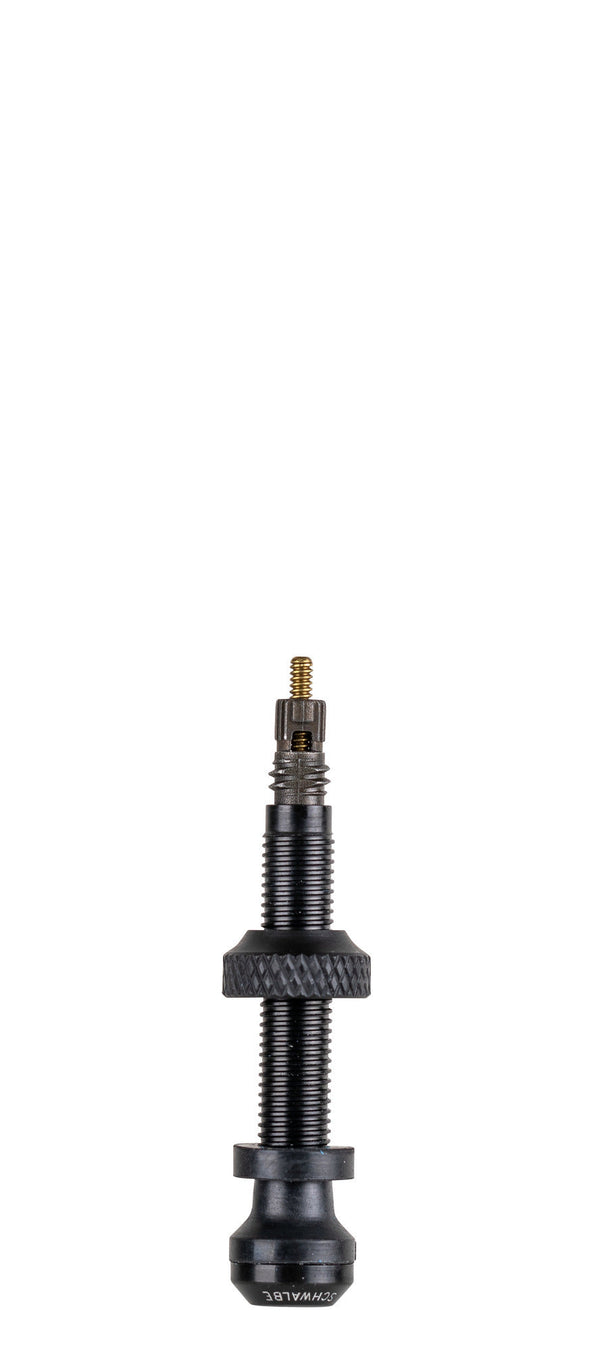 Tubeless ventiel Schwalbe 40mm (2 stuks)
