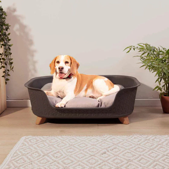 Hondenmand met verhoging 78,5 x 58,5 x 25 cm Zwart