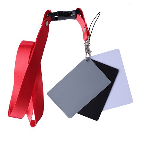 Carte grise numérique StudioKing SKGC-31S