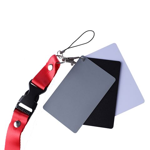 Carte grise numérique StudioKing SKGC-31S