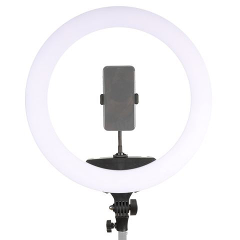 Ensemble de lampes annulaires StudioKing LED 65W LR-650