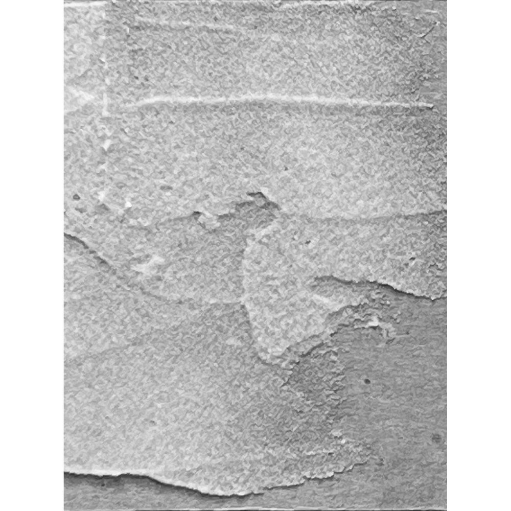 Ranger ink ranger • distress grit paste translucent