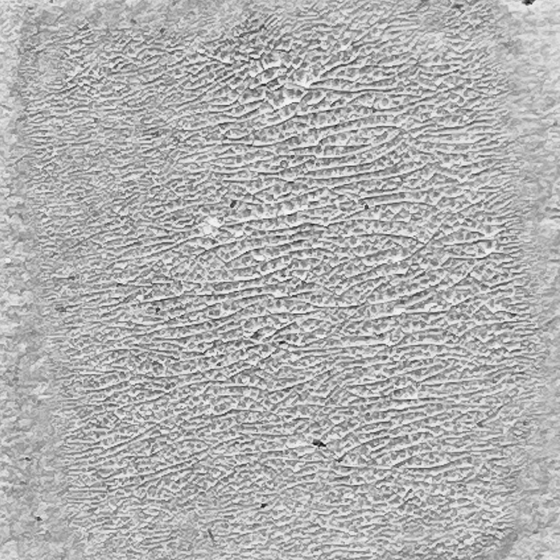Ranger ink ranger • tim holtz distress crackle paint translucent