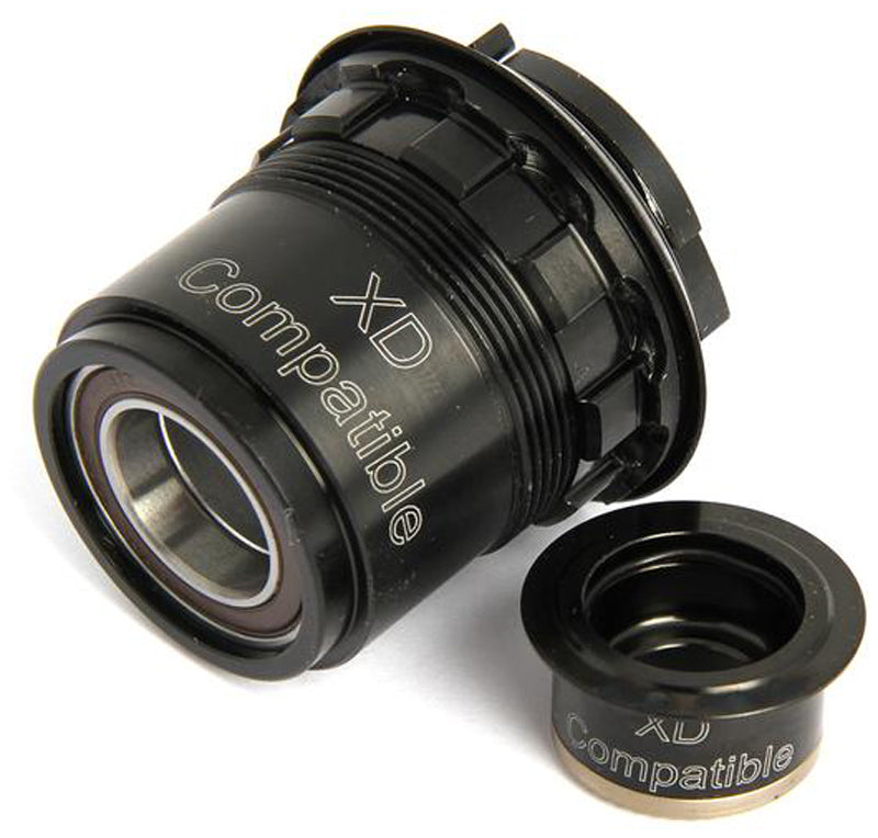 Dt swiss conversion kit sram xd pawl drive system freehub body