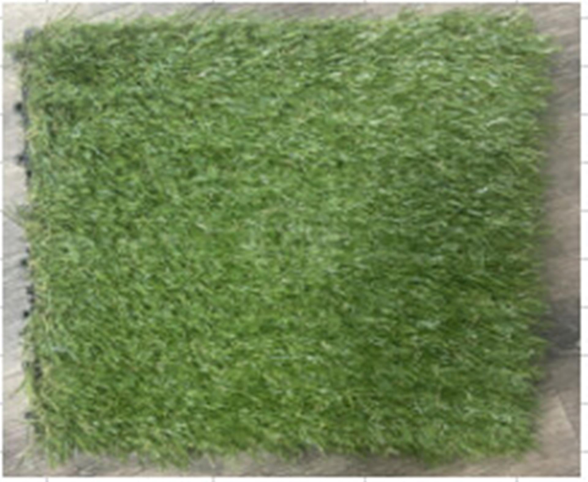 Pro garden terrastegels gras set a 6 30x30cm