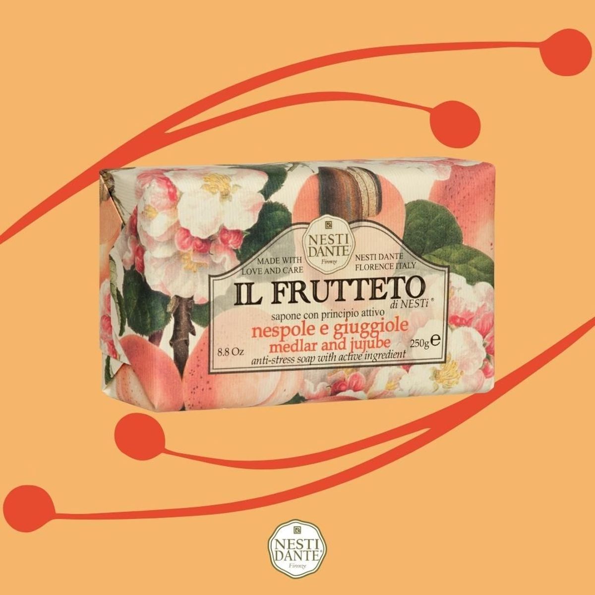 Nesti dante il frutteto mispel jujube zeep 250gr.
