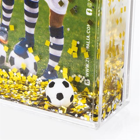 Zep rb983 schudframe voetbal 10x15 cm 6 stuks