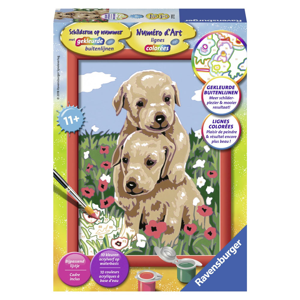 Paint by Numbers - Cuddling Puppies