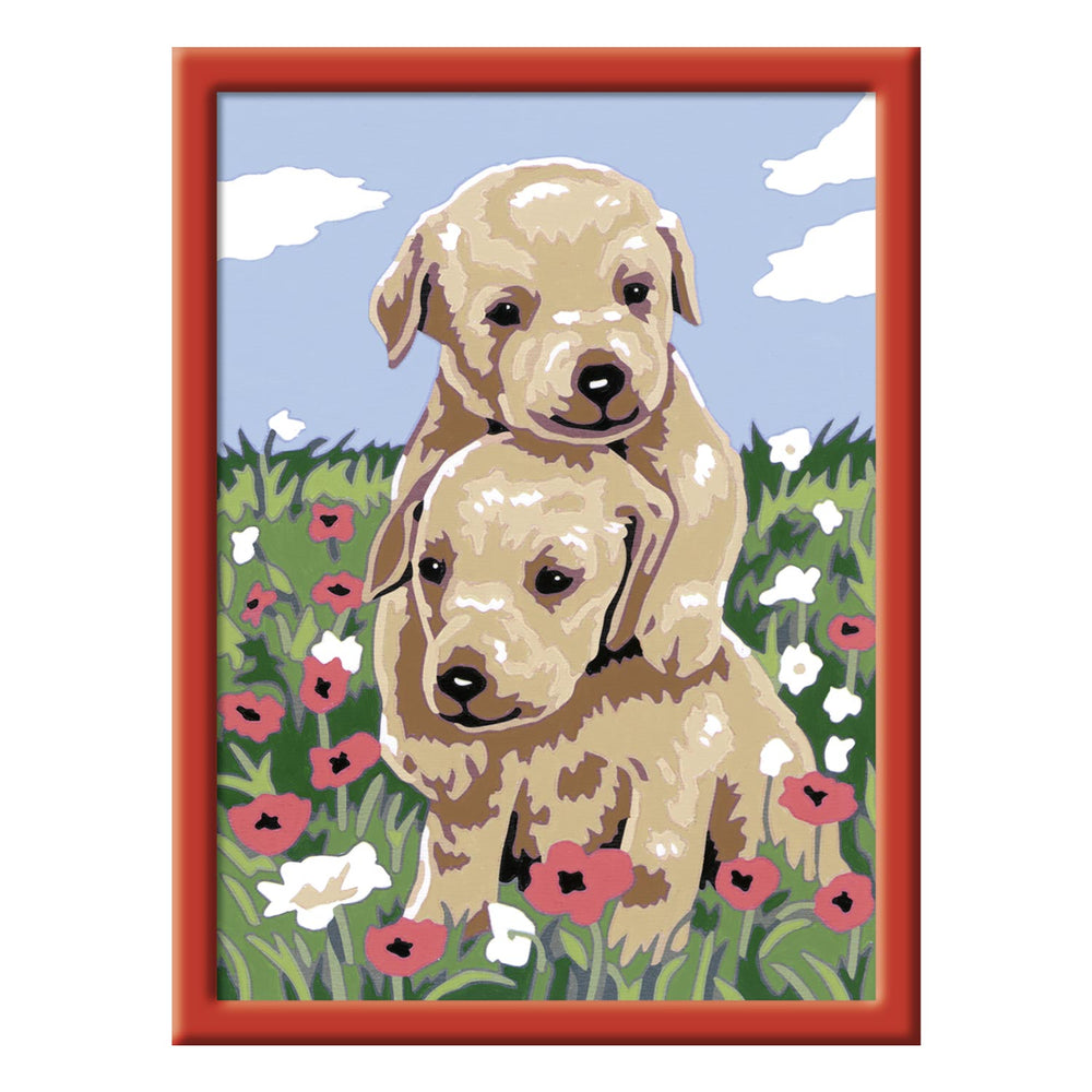 Paint by Numbers - Cuddling Puppies