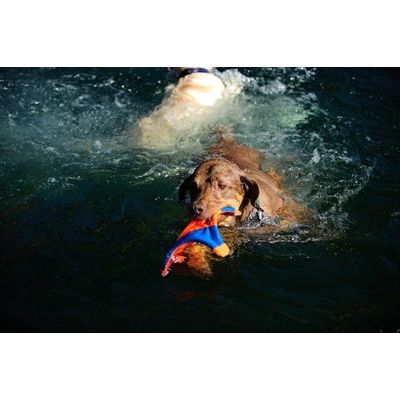 Chuckit vliegende eekhoorn