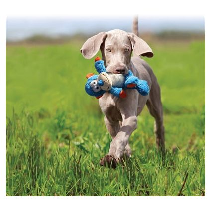 Kong cross knots lion