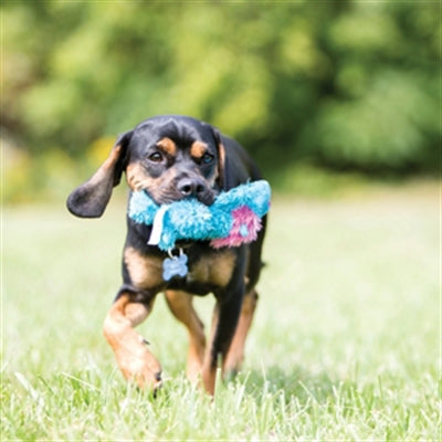 Kong Cozie Brights assortiment