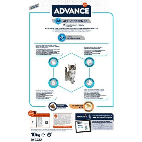 Advance kat kitten kip rijst