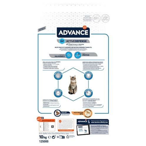 Advance kat volwassen kip met rijst