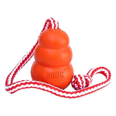 Kong Aqua oranje