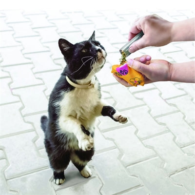 Kong navulbare kattenkruid kattenkruid buisjes
