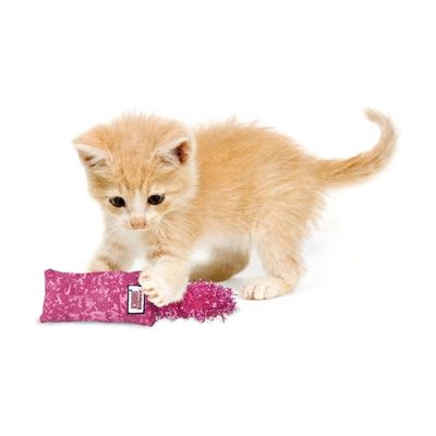 Kong cat kickeroo kitten assorti