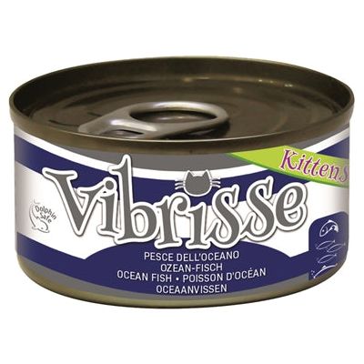 Vibrisse kittens kat oceaanvis