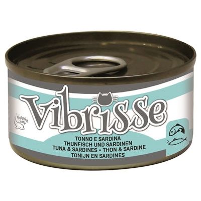 Vibrisse kat tonijn sardines