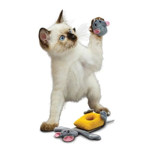 Kong pull-a-partz cheezy muis