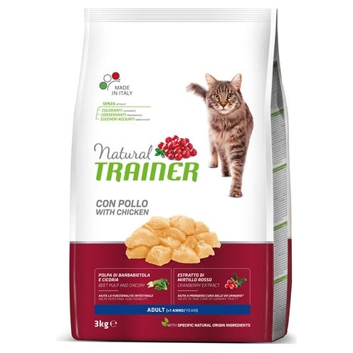 Natuurlijke trainer kat volwassen kip