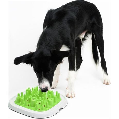 Savic voerbak enigma slowfeeder assorti