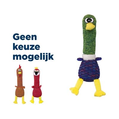 Kong shakers koekoeken assortiment