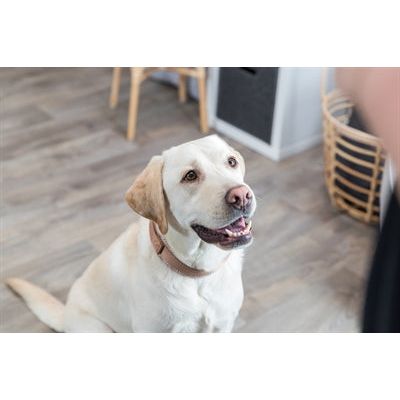 Trixie halsband hond boho extra breed met ruit karamel