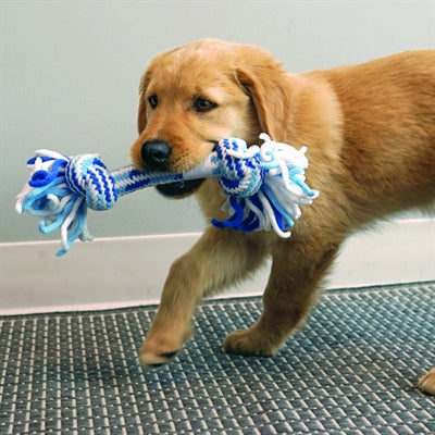 Kong touwring puppy assortiment