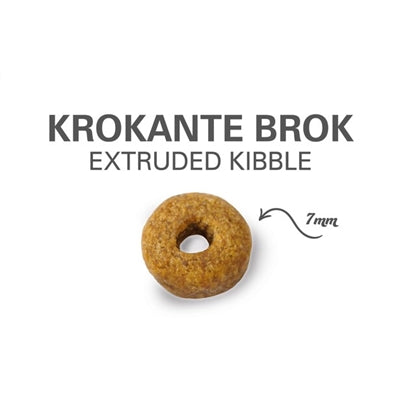 Prins kat vital care volwassen gesteriliseerd