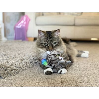 Rosewood moody moggy ombaar grijpspeelgoed