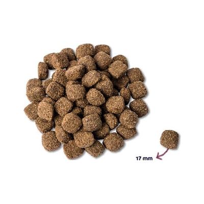 Renske machtige omega plus volwassen kip rijst hypoallergeen