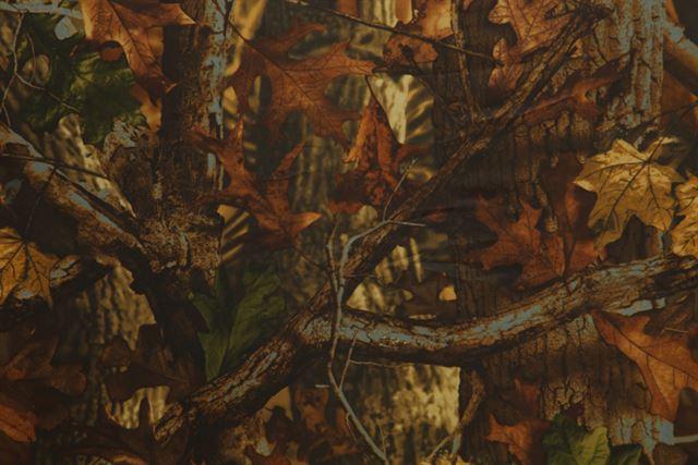 Buteo photo gear zitzak 1 zadelmodel met draagriem