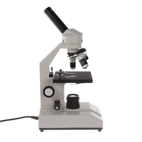 Byomic Studiemicroscoop BYO-30