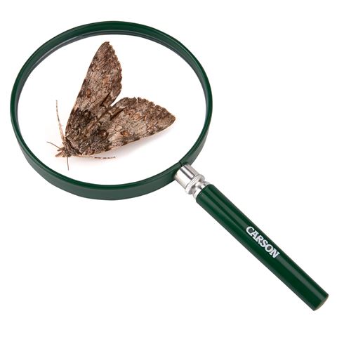 Loupe à manche Carson 2x130mm