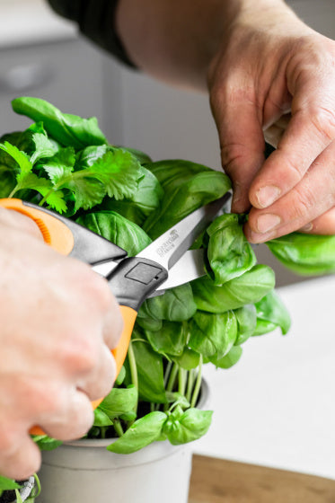 Kruidenschaar 15 cm RVS rubber Zwart oranje