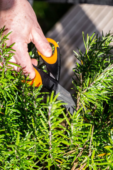 Kruidenschaar 15 cm RVS rubber Zwart oranje