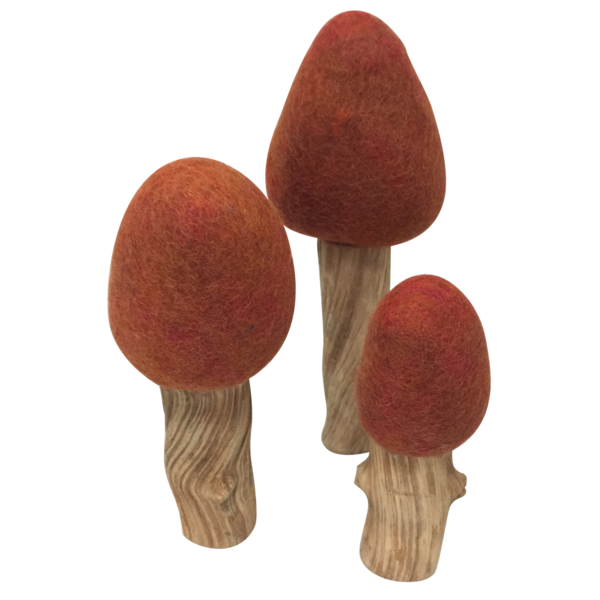 Papoose Toys Papoose Toys Herfstbomen 3