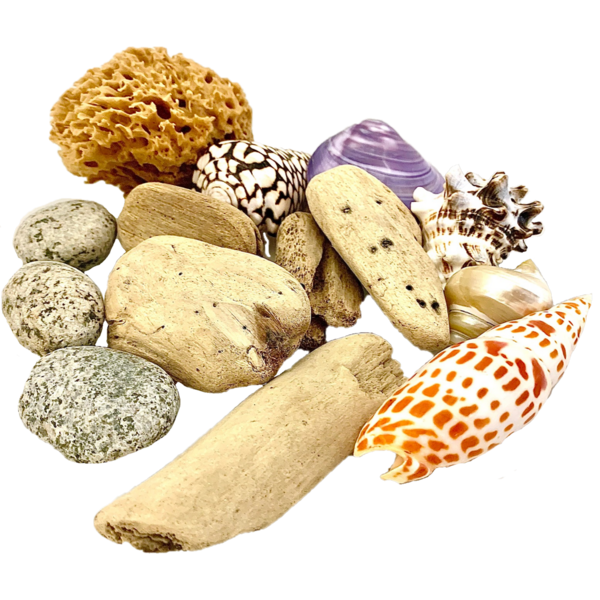 Papoose Toys Papoose Toys Strandjutterset 14-delig