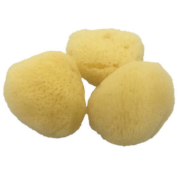 Papoose Toys Papoose Toys Natuurlijke Spons 'Zijde' 6cm 3st